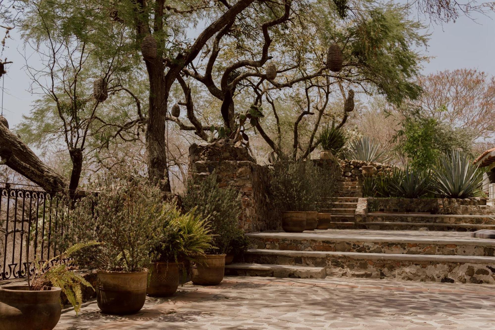 Hacienda San Nicolas De Las Fuentes Teuchitlán Extérieur photo