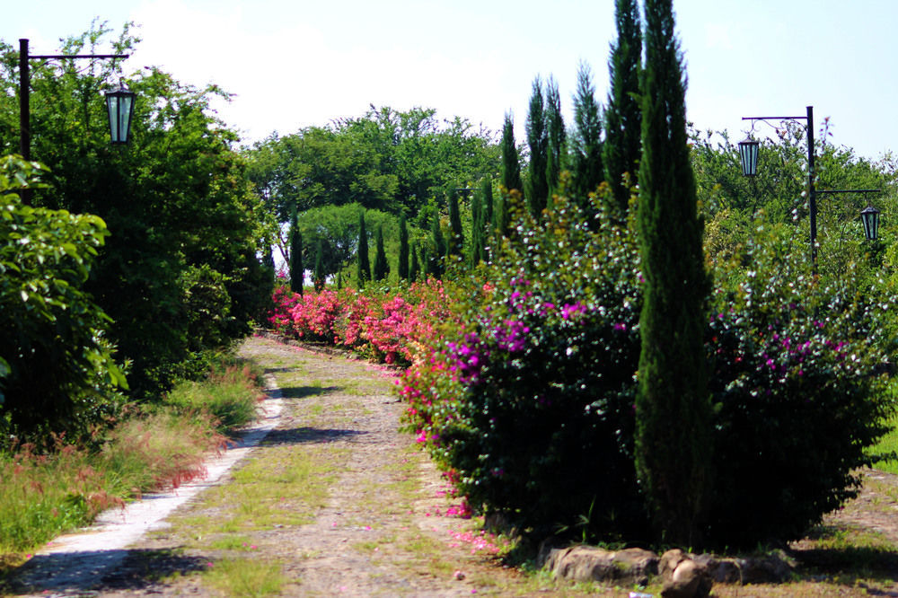 Hacienda San Nicolas De Las Fuentes Teuchitlán Extérieur photo