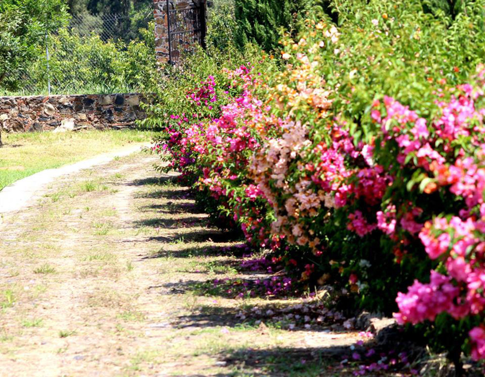 Hacienda San Nicolas De Las Fuentes Teuchitlán Extérieur photo